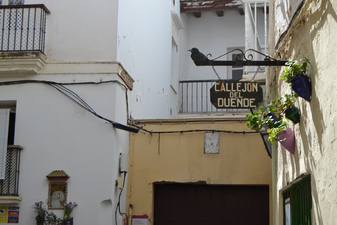 Walking Tour through Cádiz: Stories from the hand of a local guide - Parque Genovés offers a quieter change of pace