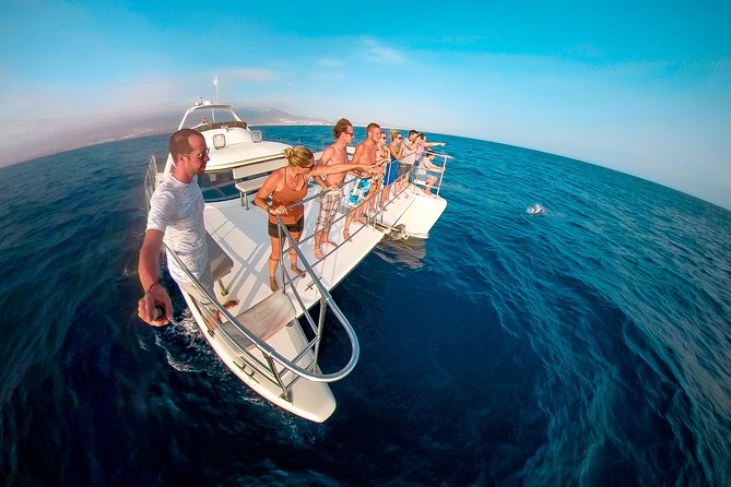 Whale and Dolphin Watching Catamaran with Transfer and Buffet - Setting out from Puerto Colón