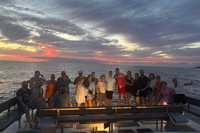 Whale and Dolphin Watching Catamaran with Transfer and Buffet - Who will enjoy this catamaran most?