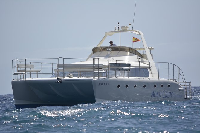 Whale and Dolphin Watching Catamaran with Transfer and Buffet - Finding pilot whales near Tenerife