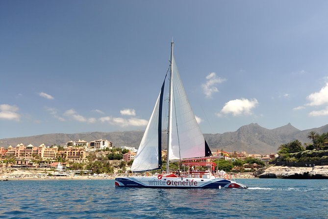 Whale Watching and Listening Eco Catamaran Tour with Food Tasting - Key things to know before booking
