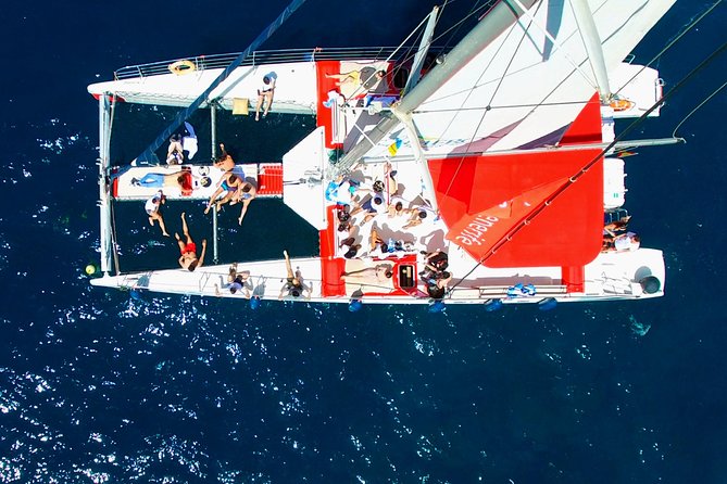 Whale Watching and Listening Eco Catamaran Tour with Food Tasting - Los Gigantes, Masca Bay, and the swim stop
