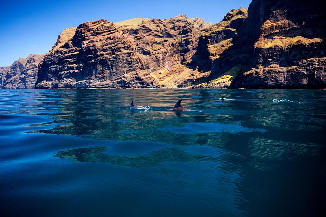 Whale Watching and Listening Eco Catamaran Tour with Food Tasting - Space, seating, and group size