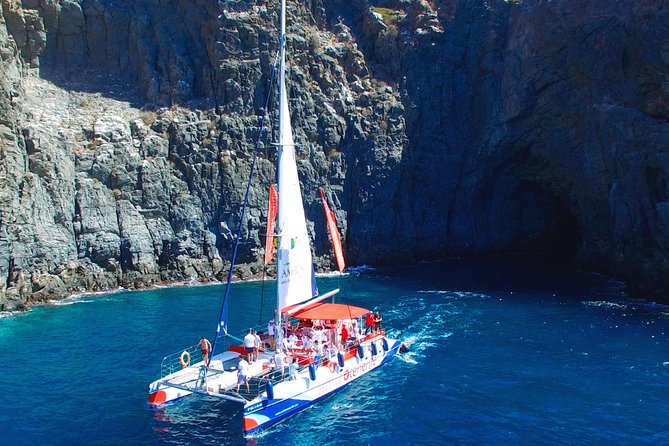 Whale Watching and Listening Eco Catamaran Tour with Food Tasting - Who will enjoy this Costa Adeje cruise?