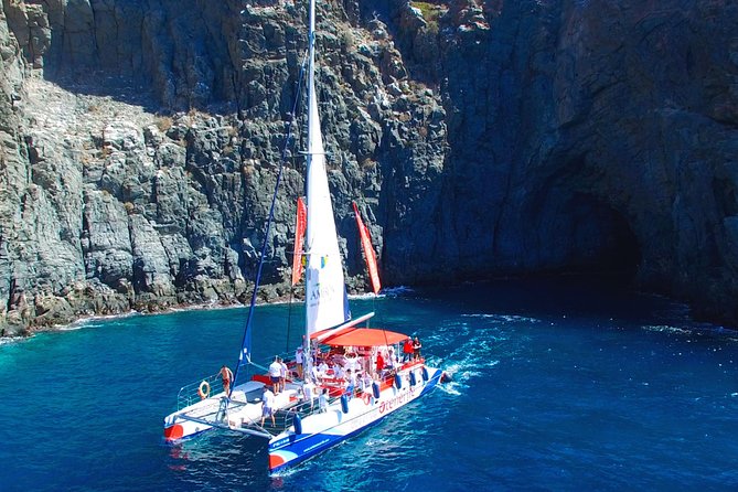 Whale watching and listening Eco-Catamaran Tour with Food Tasting - Who will enjoy this catamaran trip most?