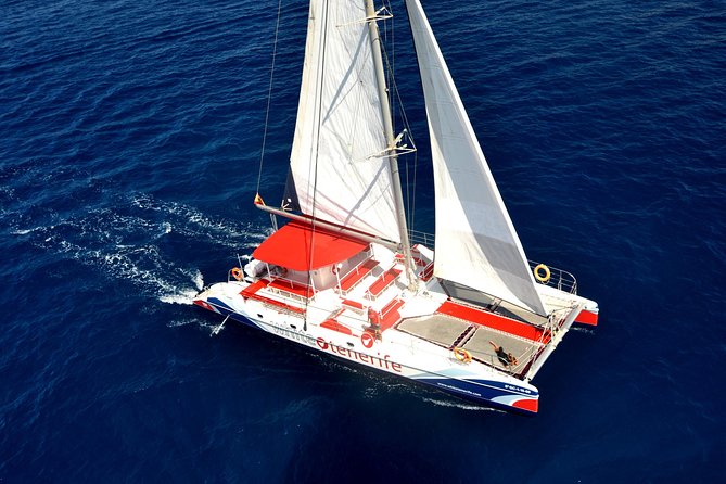 Whale Watching and Listening Eco Catamaran Tour with Food Tasting - What the listening element is really like