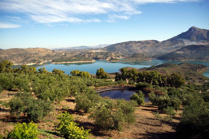 White Villages and Ronda Day Tour from Seville - Quick Points Before You Book