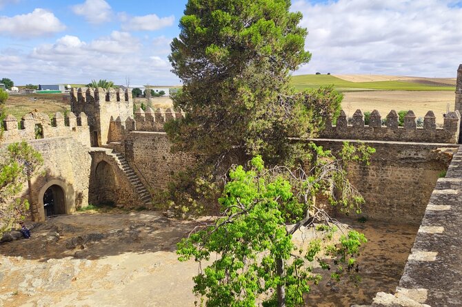 White Villages and Ronda Day Tour from Seville - Ronda and the New Bridge