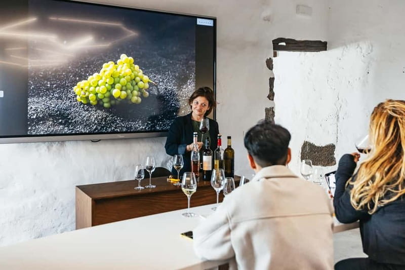 Wine Lovers: Wine Tasting Tour at El Grifo Bodega Lanzarote - Key points to know before you go
