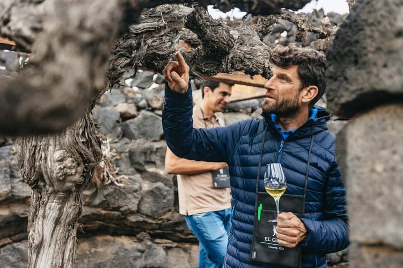 Wine Lovers: Wine Tasting Tour at El Grifo Bodega Lanzarote - Why El Grifo’s wine country feels different