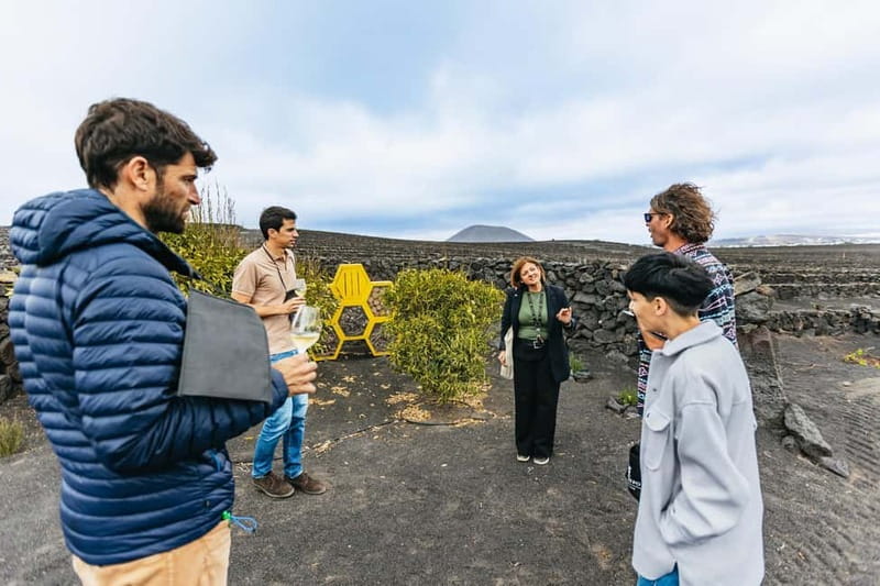 Wine Lovers: Wine Tasting Tour at El Grifo Bodega Lanzarote - Seeing how Lanzarote grows its grapes