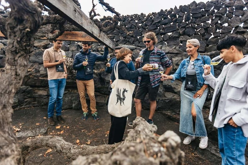 Wine Lovers: Wine Tasting Tour at El Grifo Bodega Lanzarote - Six wines, local cheese, and a useful tasting lesson