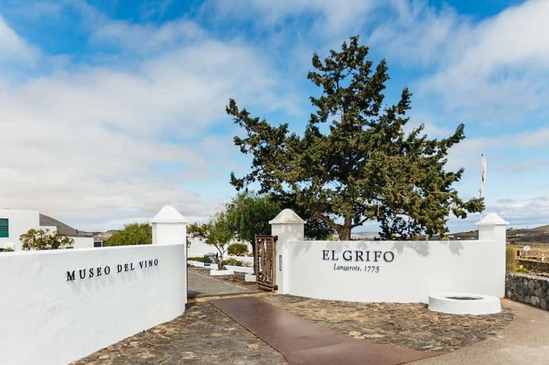 Wine Lovers: Wine Tasting Tour at El Grifo Bodega Lanzarote - The head sommelier makes the difference